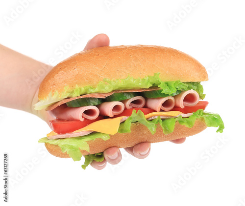 Hand holds french baguette sandwich.