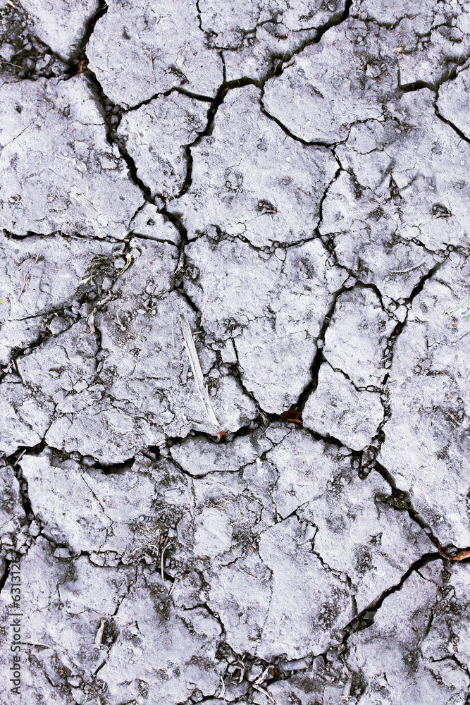 Obraz premium Land during a drought