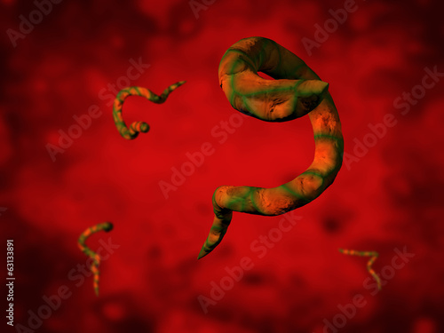 Принти на полотні Parasite