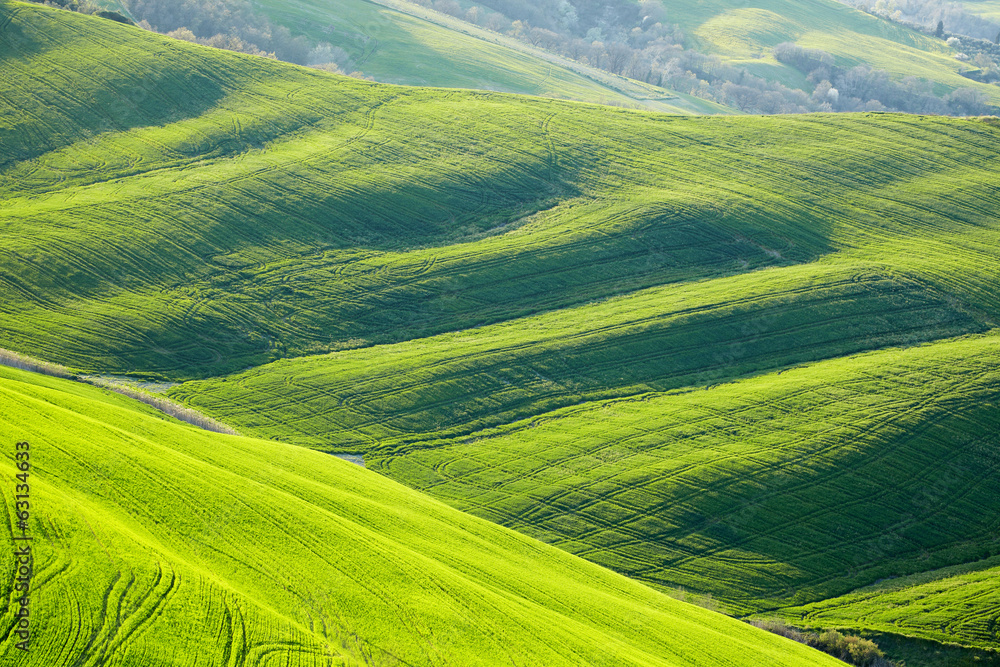 Beautiful green hills in Tuscany, Italy.