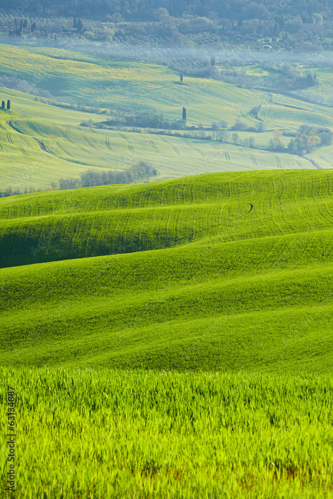 Beautiful green hills in Tuscany, Italy.