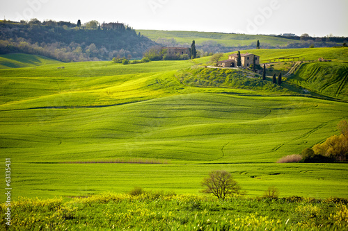 Beautiful green hills in Tuscany  Italy.
