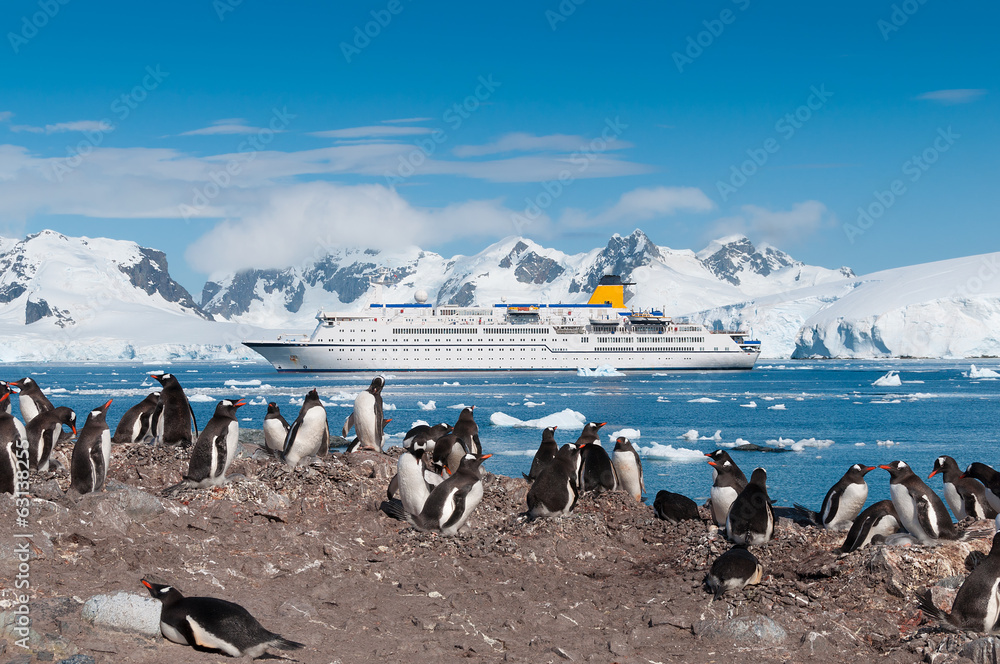 Antarctica penguins and cruise ship - obrazy, fototapety, plakaty 