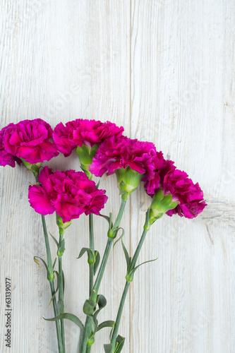Fototapeta Naklejka Na Ścianę i Meble -  purple cloves isolated on white