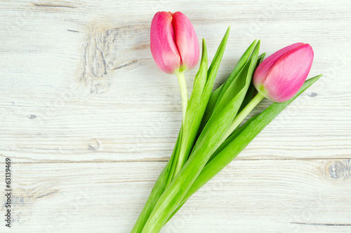 Fototapeta Naklejka Na Ścianę i Meble -  two pink tulips on white wooden surface