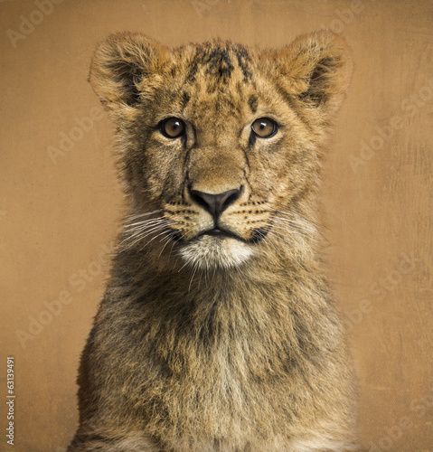 Fototapeta Naklejka Na Ścianę i Meble -  Close-up of a Lion cub in front of a vintage background