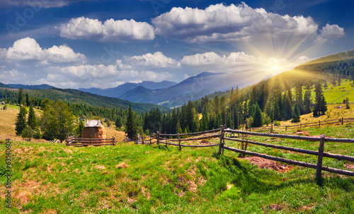 Beautiful summer landscape in the mountains at summer