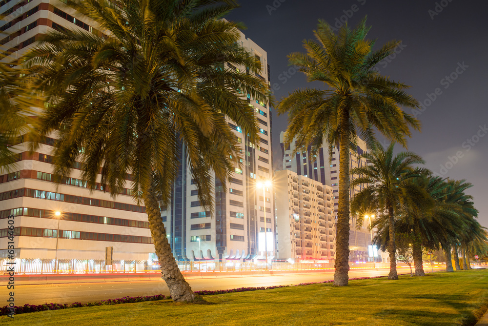 Obraz premium palm