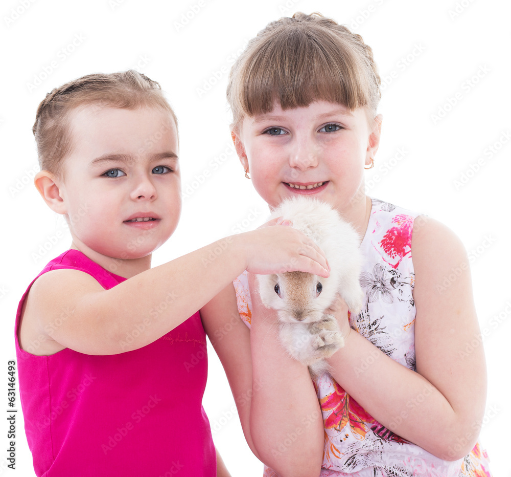 two little girlfriends stroking rabbit two little girlfriends stroking rabbit