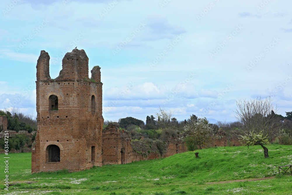 Ruins from Circo di Massenzio in Via Apia Antica at Roma - italy