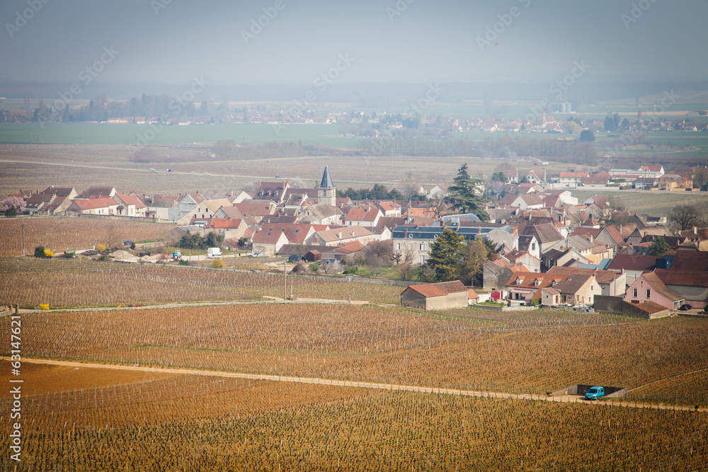 Obraz premium Vosne-Romanée