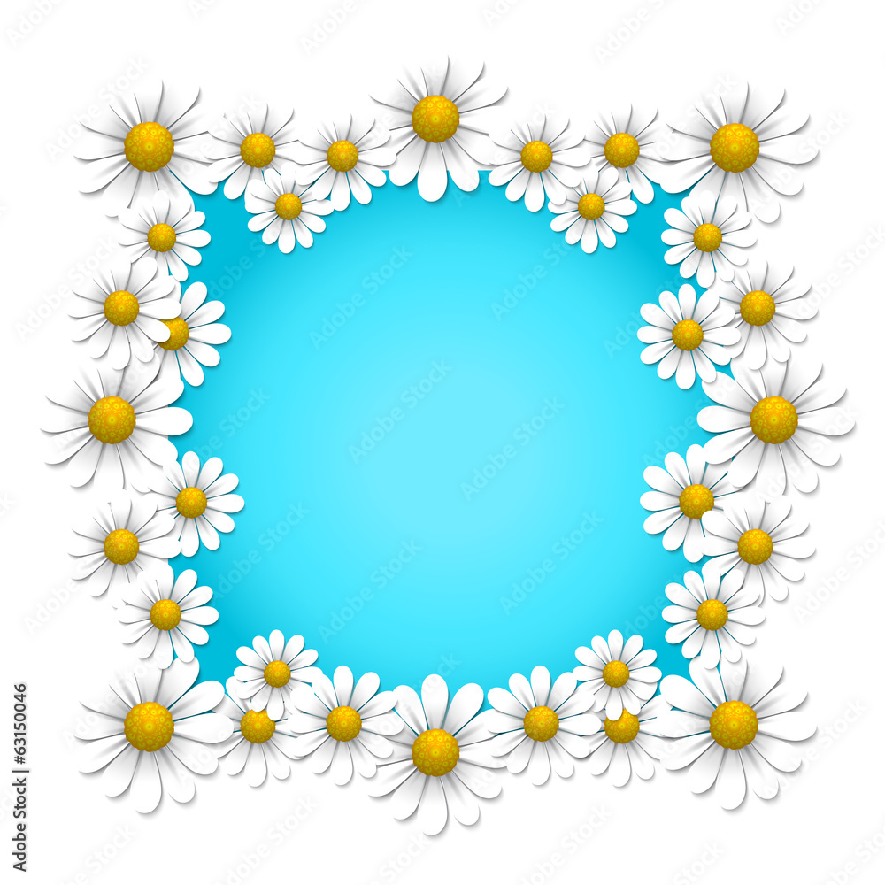 Summer background with daisy Summer background with daisy