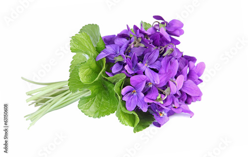 Konstfotografi bouquet de violettes