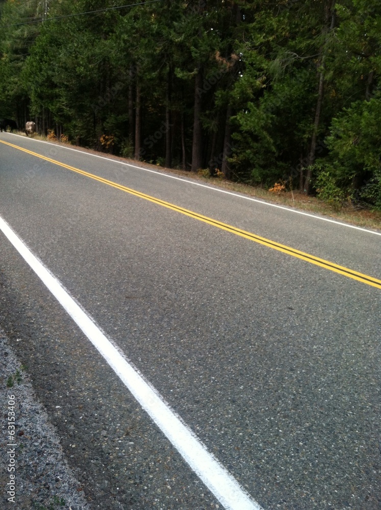 Road Road