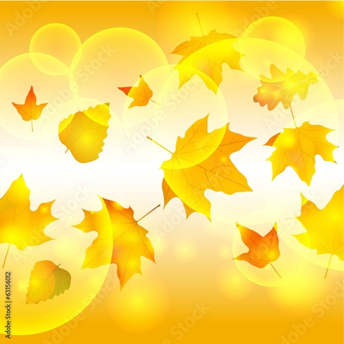 Autumn