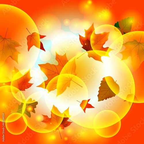 Autumn