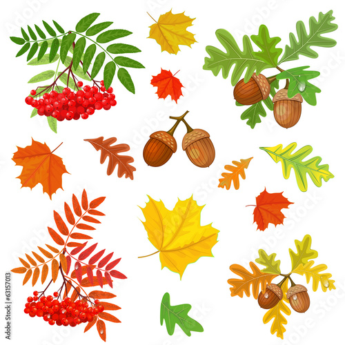 Autumn collection for your design