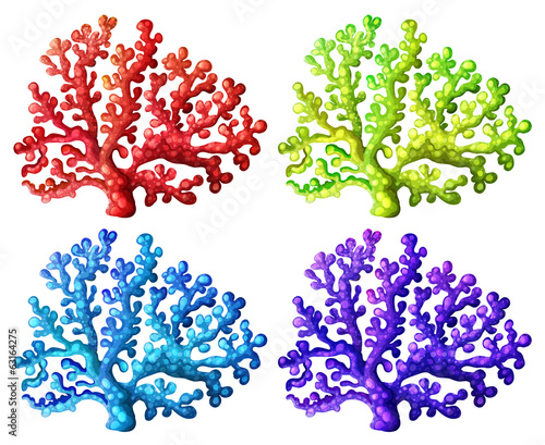 Colorful coral reefs