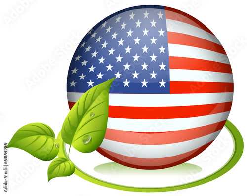 A ball with the USA flag