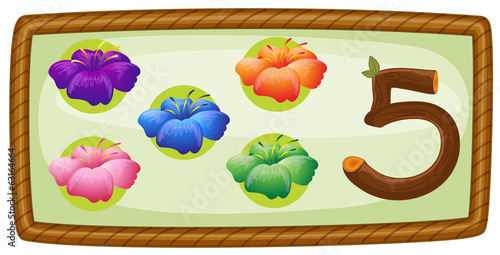 A frame with five flowers