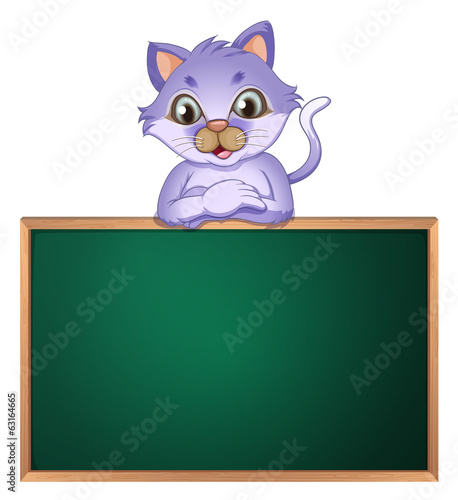 A cat leaning above the empty blackboard