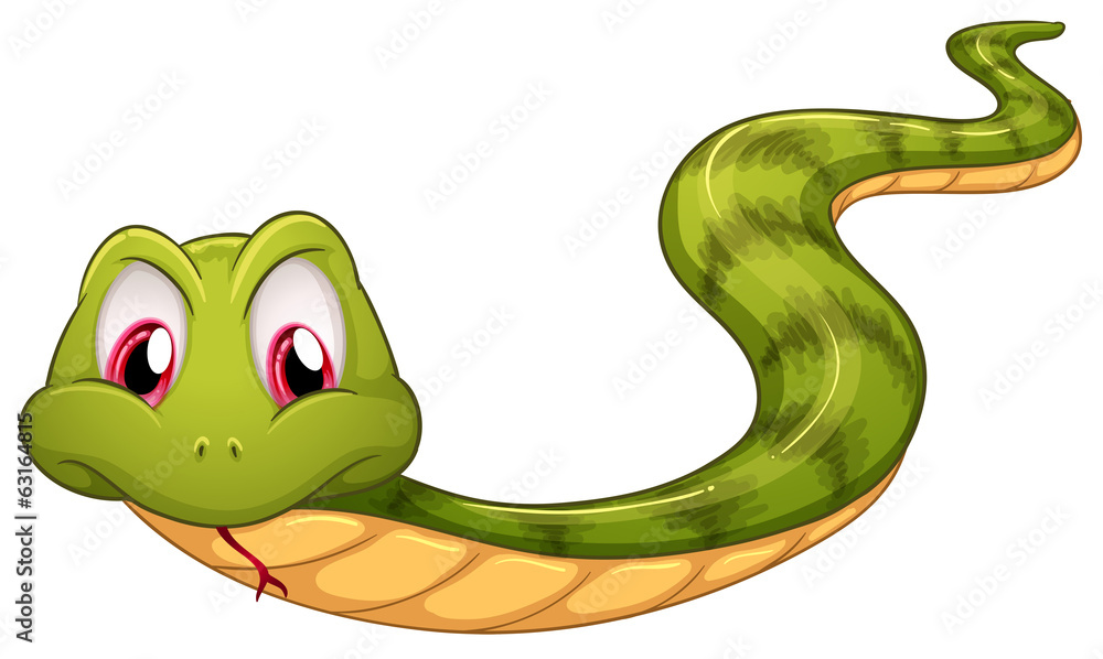 Fototapeta premium A green snake