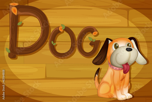 A frame with a dog
