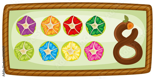 A frame with eight flowers