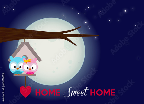 home sweet home, a couple of owls under the full moon