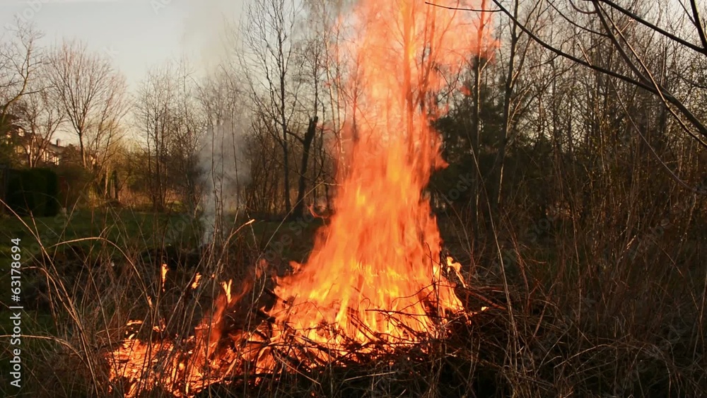 Ogień Ogień