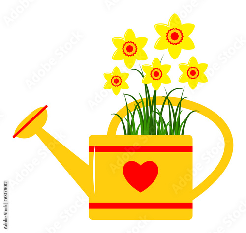 watering can and daffodils