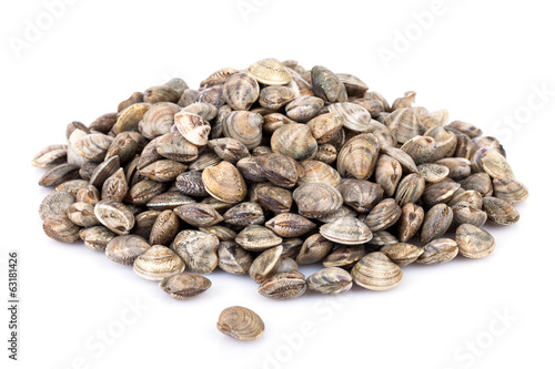 Raw Lupins Clams