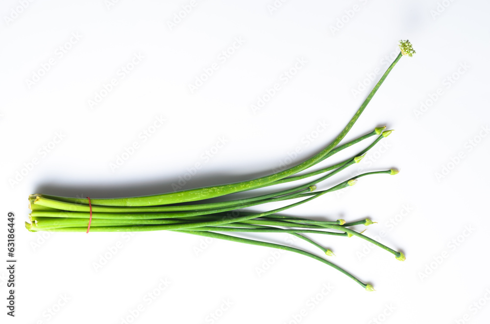 Close up fresh green vegetarian Close up fresh green vegetarian