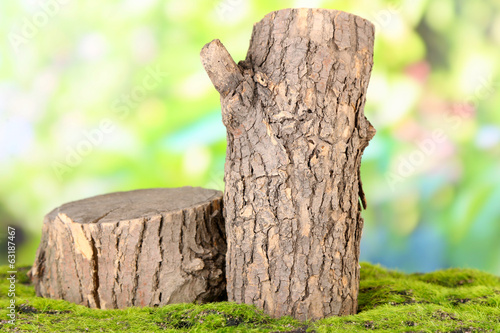 Stumps on green grass, on nature background