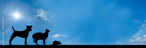 website banner - dog cat mouse - ratio 3 to 1 - g731