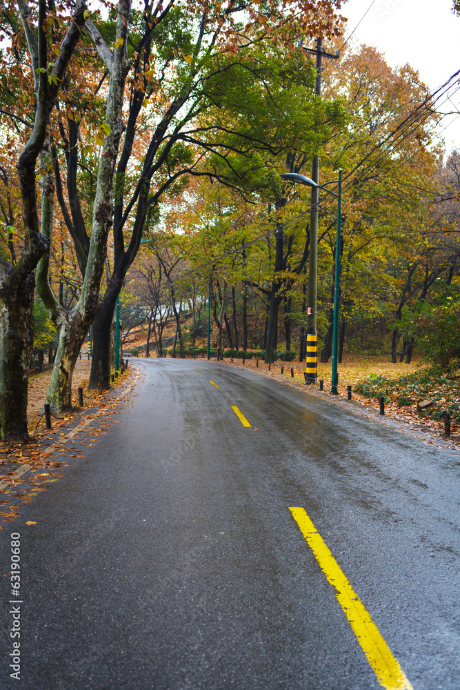 Rain asphalt road