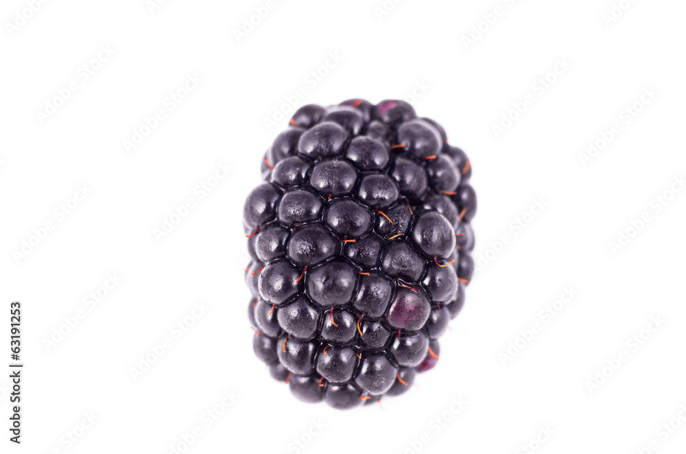 blackberries blackberries