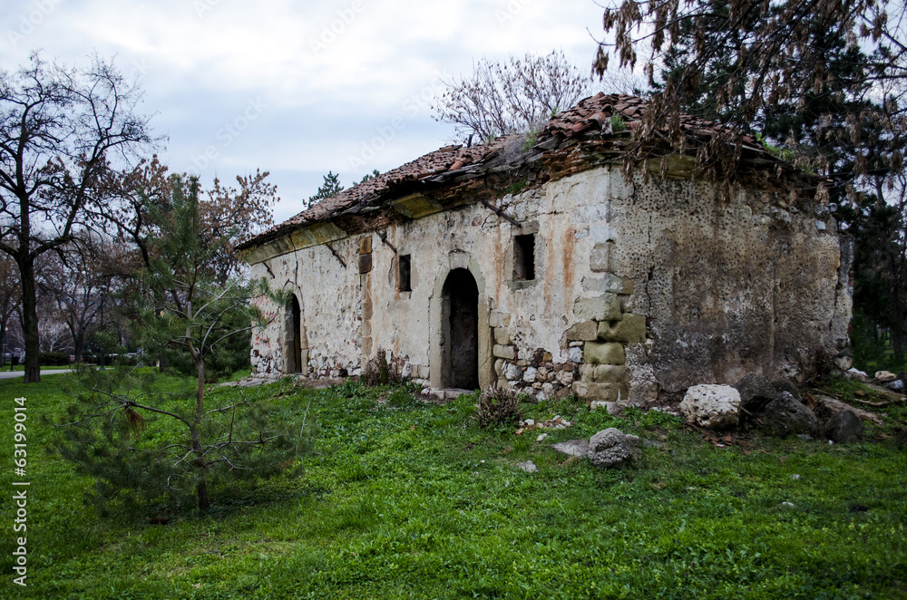 Old house in Naisus