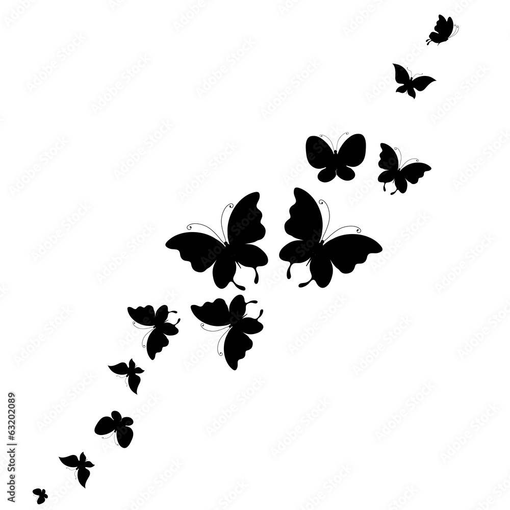 butterflies design