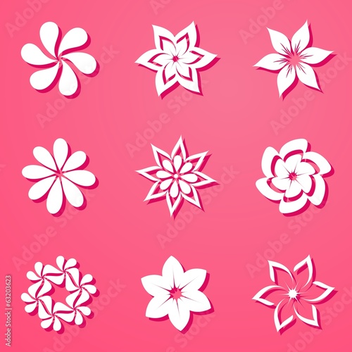 Flowers background