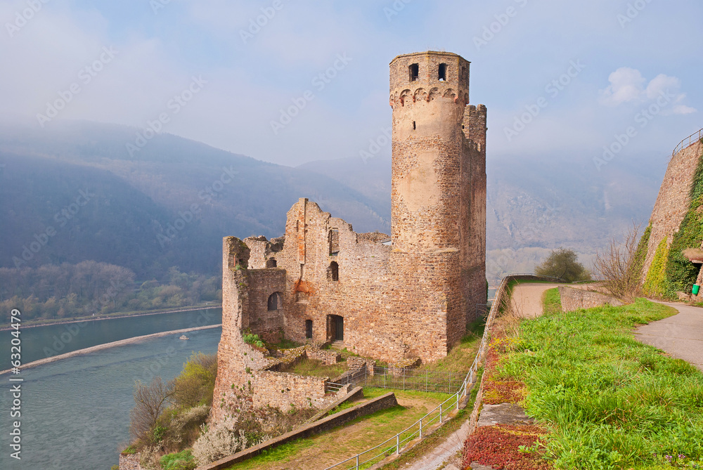 Burgruine Ehrenfels im Rheingau bei Rüdesheim