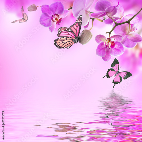 Fototapeta Naklejka Na Ścianę i Meble -  Floral background of tropical orchids and  butterfly