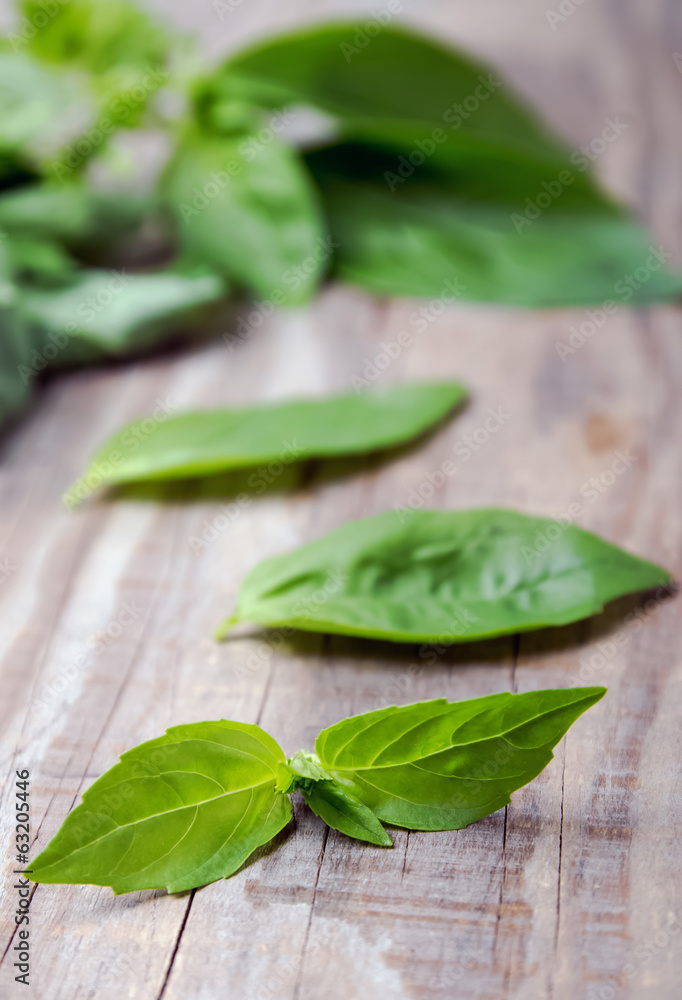 Fresh basil leaves on the wooden background Fresh basil leaves on the wooden background