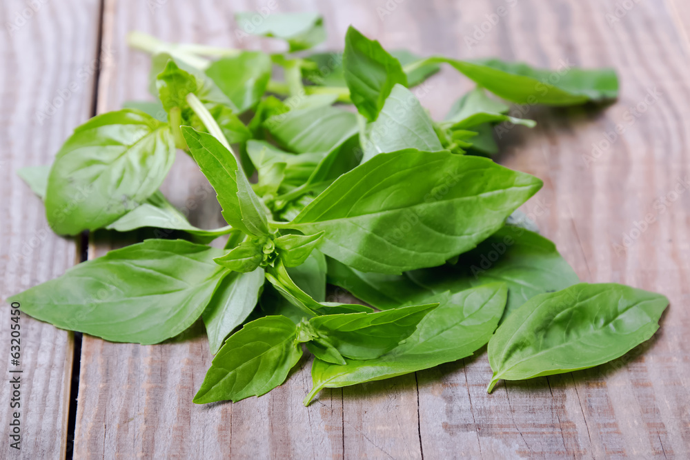 Fresh basil leaves on the wooden background Fresh basil leaves on the wooden background