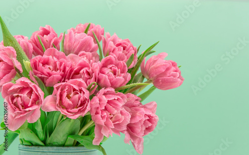 Fototapeta Naklejka Na Ścianę i Meble -  pink tulip flowers with water drops