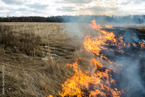 Fire. old grass burning in a field near the forest