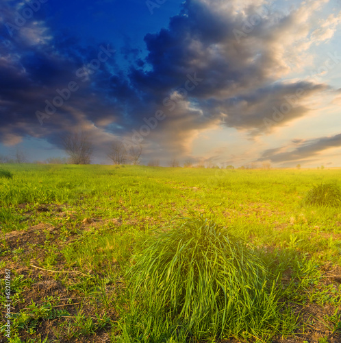 green fields at the evening