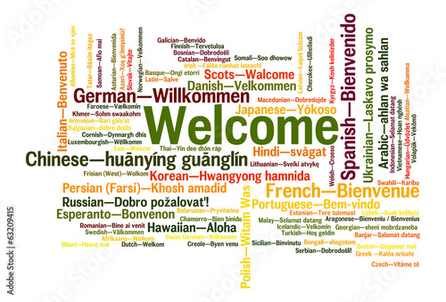Welcome phrase words cloud concept