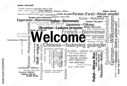 Welcome phrase words cloud concept #63209425