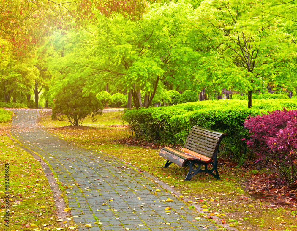 Obraz premium Zielony park miejski. Szanghai Chiny